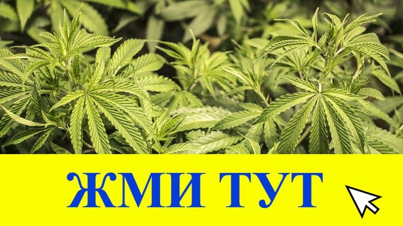 Купить наркотики в Микуни